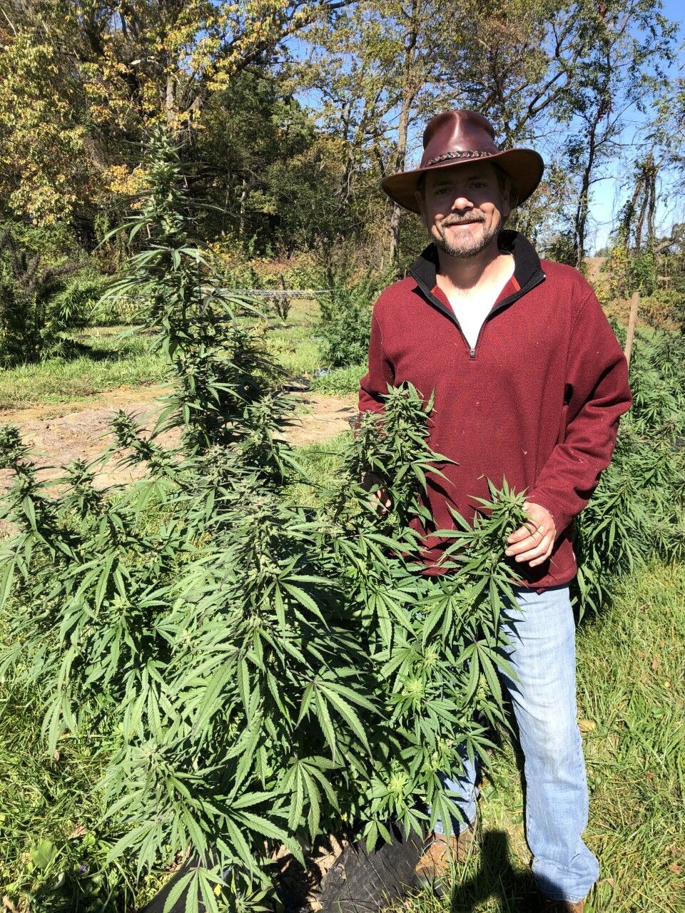 Richard Taylor, hemp farmer